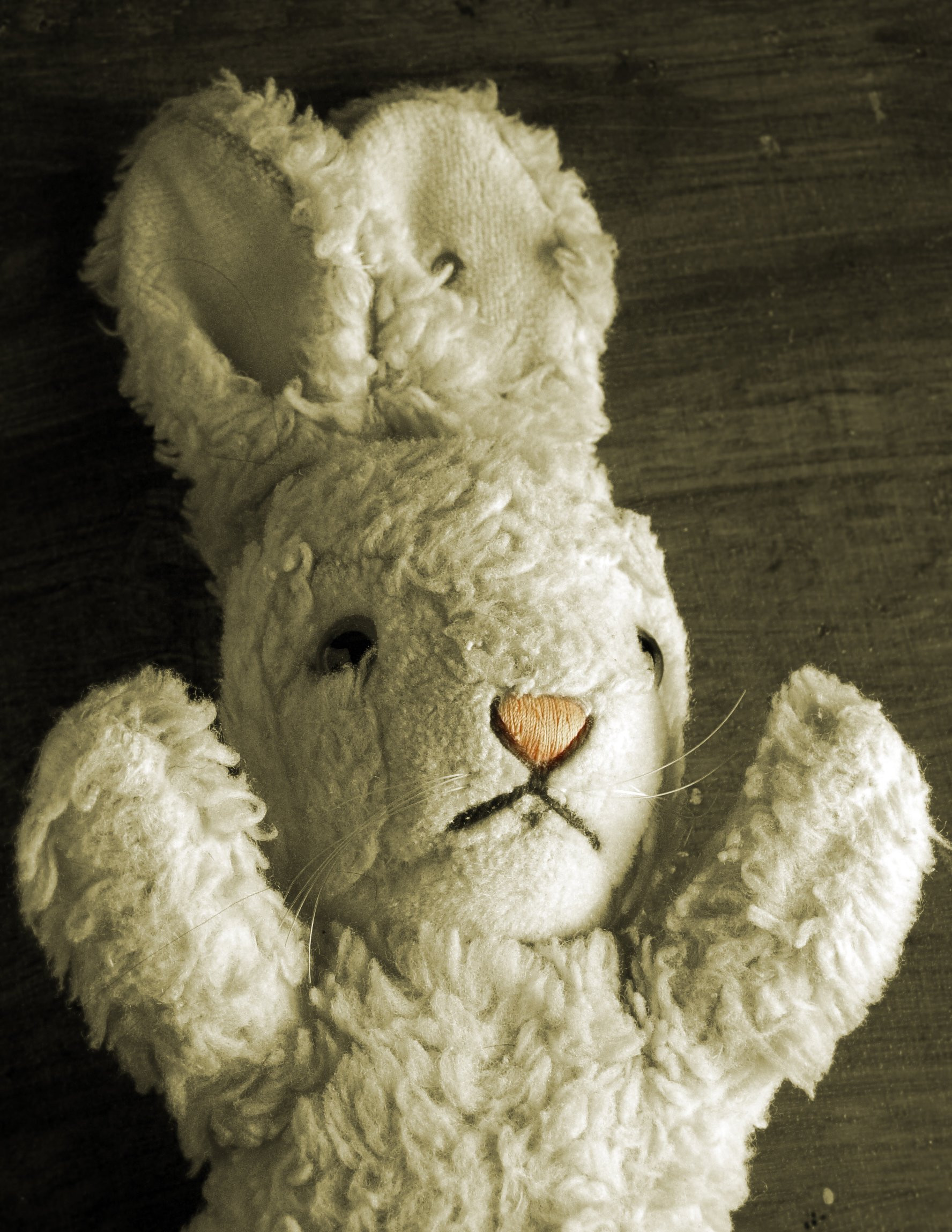 klp23_rabbit_gero-photo-credit-hilde-vanstraelen.jpg